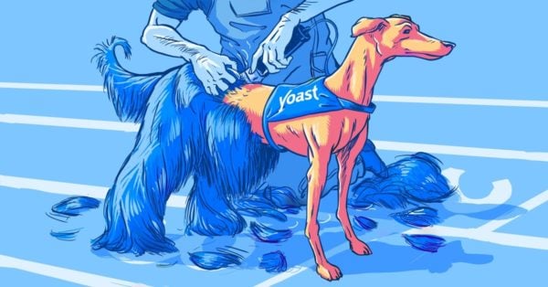 site speed and AMP